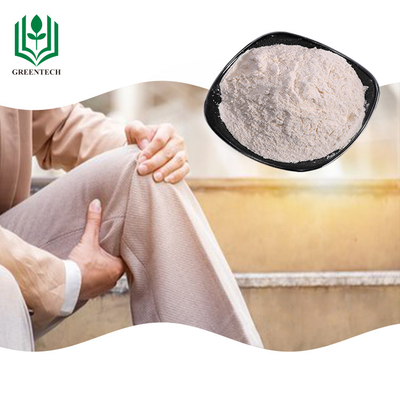 Suplement siarczanu chondroityny z chrząstki rekina Off White Powder na łuszczycę